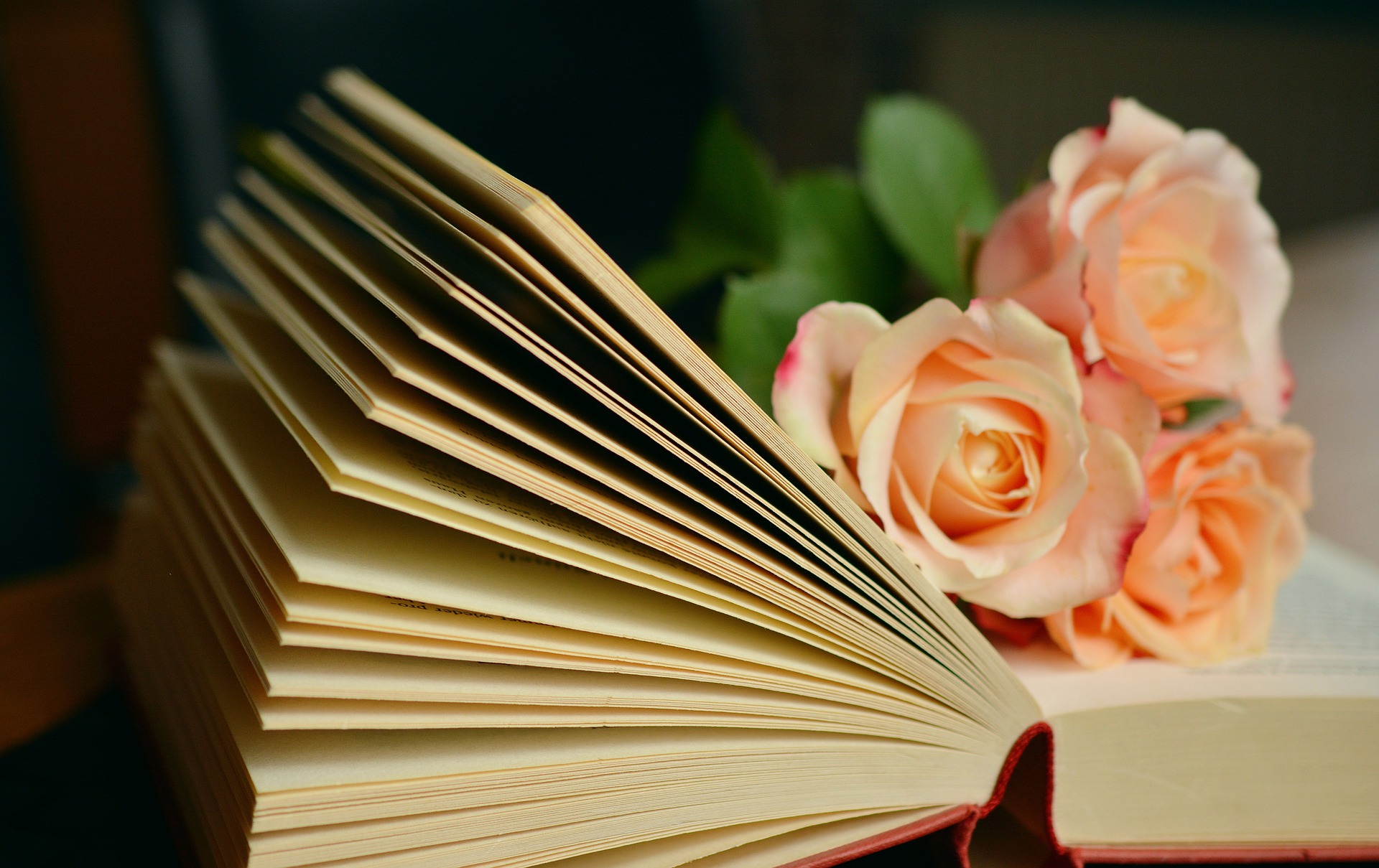 Libri di yoga e meditazione
