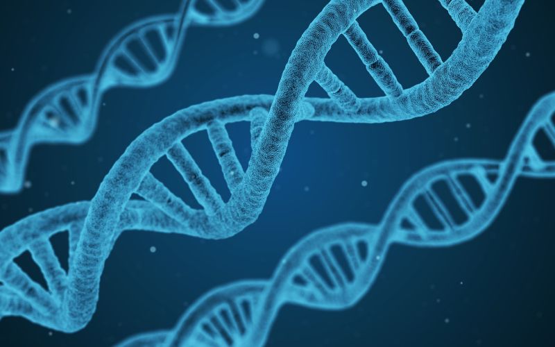 L'effetto del suono e dei mantra su corpo e mente